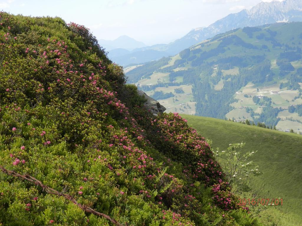 Pension Sporer Westendorf Zewnętrze zdjęcie